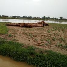 हावा हुरि देखि क्षेति
