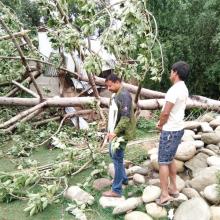 हावा हुरि देखि क्षेति